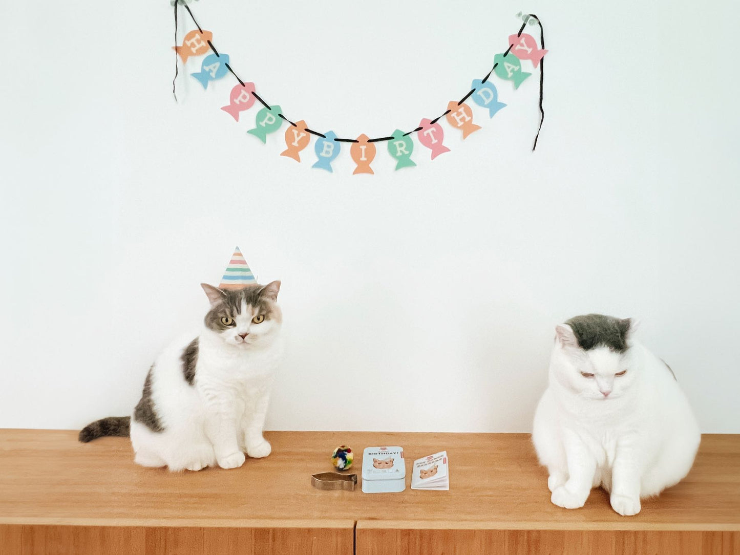 KIKO CAT HAPPY BIRTHDAY KIT(猫の誕生日キット)