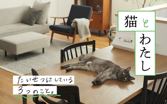A cat resting on a table in a cozy living room.