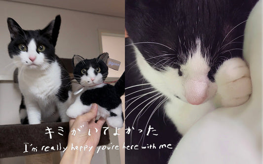 【フォトエッセイ】キミがいてよかった〜gyunyuyaさんの場合〜