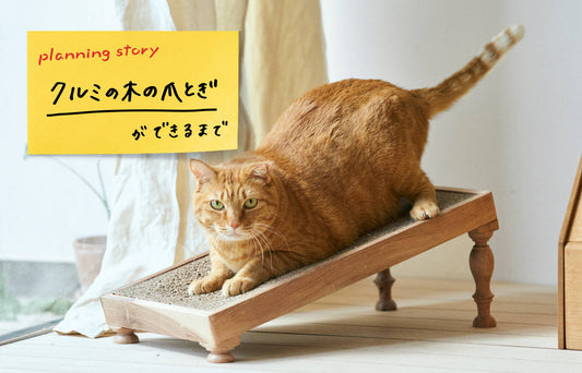【商品開発ストーリー】クルミの木の爪とぎができるまで