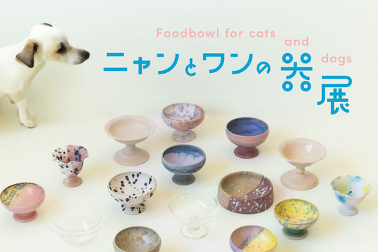 【レポート】ニャンとワンの器展　2024年5/17（金）〜5/26（日）｜オルネ ド フォイユ不動前店
