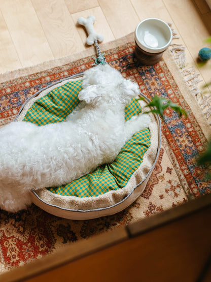 モデル犬：7.6kg