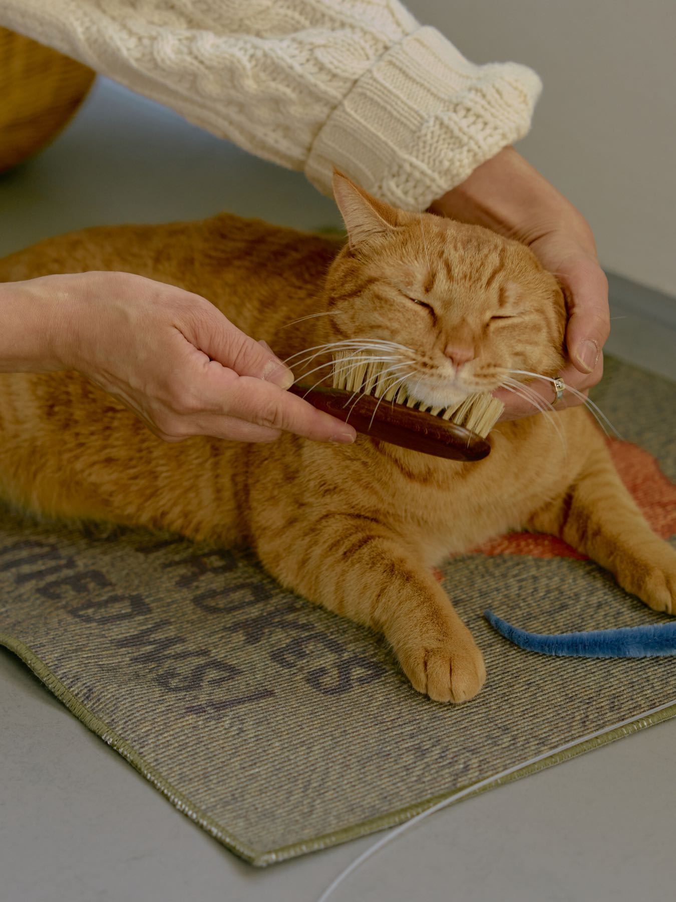 オルネコ・ケアマット／毛糸で遊ぶ猫（50×70cm）