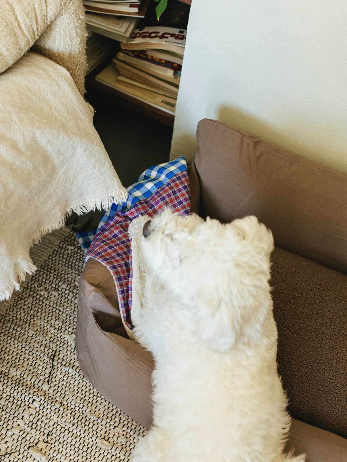 オリジナル・キャット&ドッグソファ