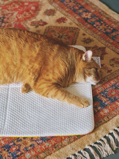 オリジナル・クール＆スムースマット（キャット&ドッグ用）
