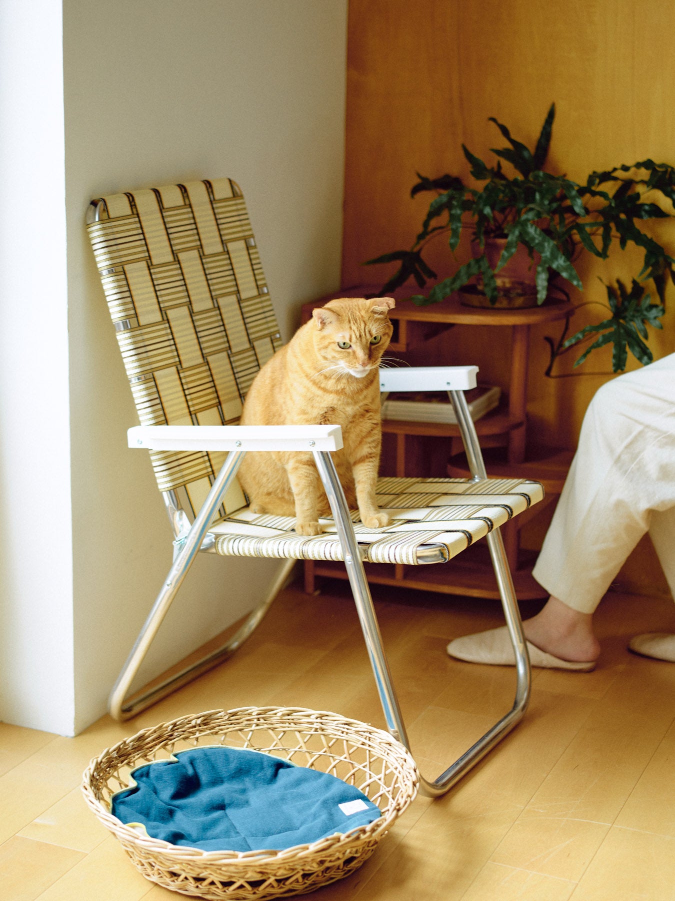 【8/26販売】LAWN CHAIR 折りたたみチェア／CLASSIC CHAIR
