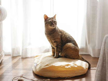 モデル猫：4kg