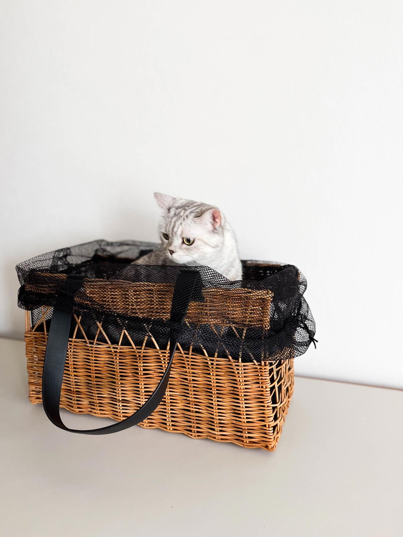 モデル猫：3.2kg