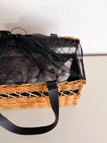モデル猫：3.2kg