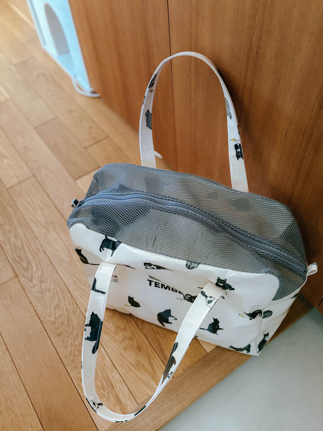 モデル猫：5.2kg