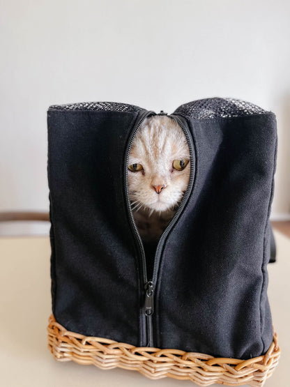モデル猫：3.5kg