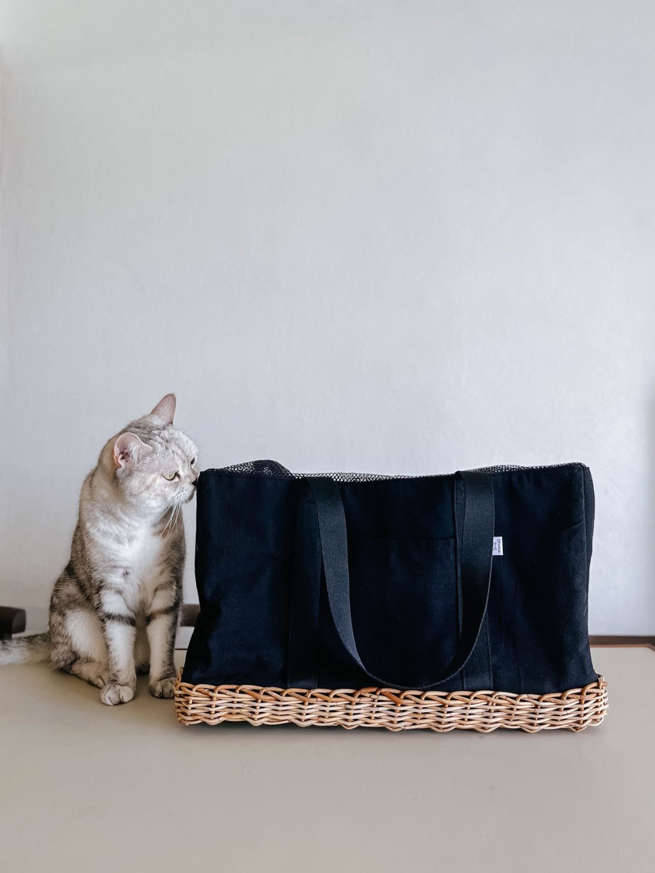 モデル猫：3.5kg