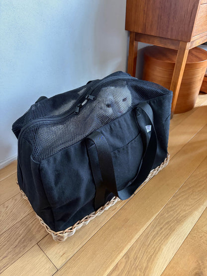 モデル猫：5.2kg