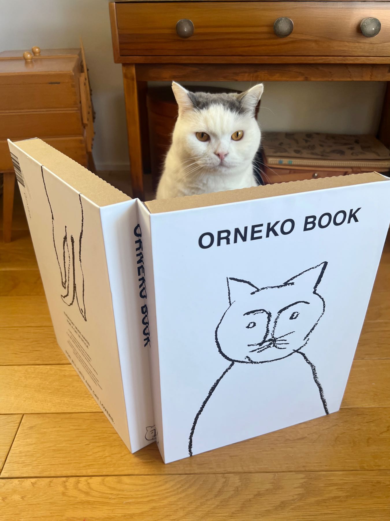 オルネコ・ブック型爪とぎ／ORNEKO BOOK