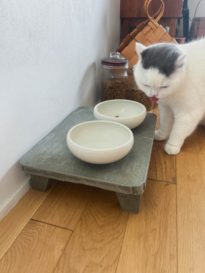 モデル猫：5.5kg