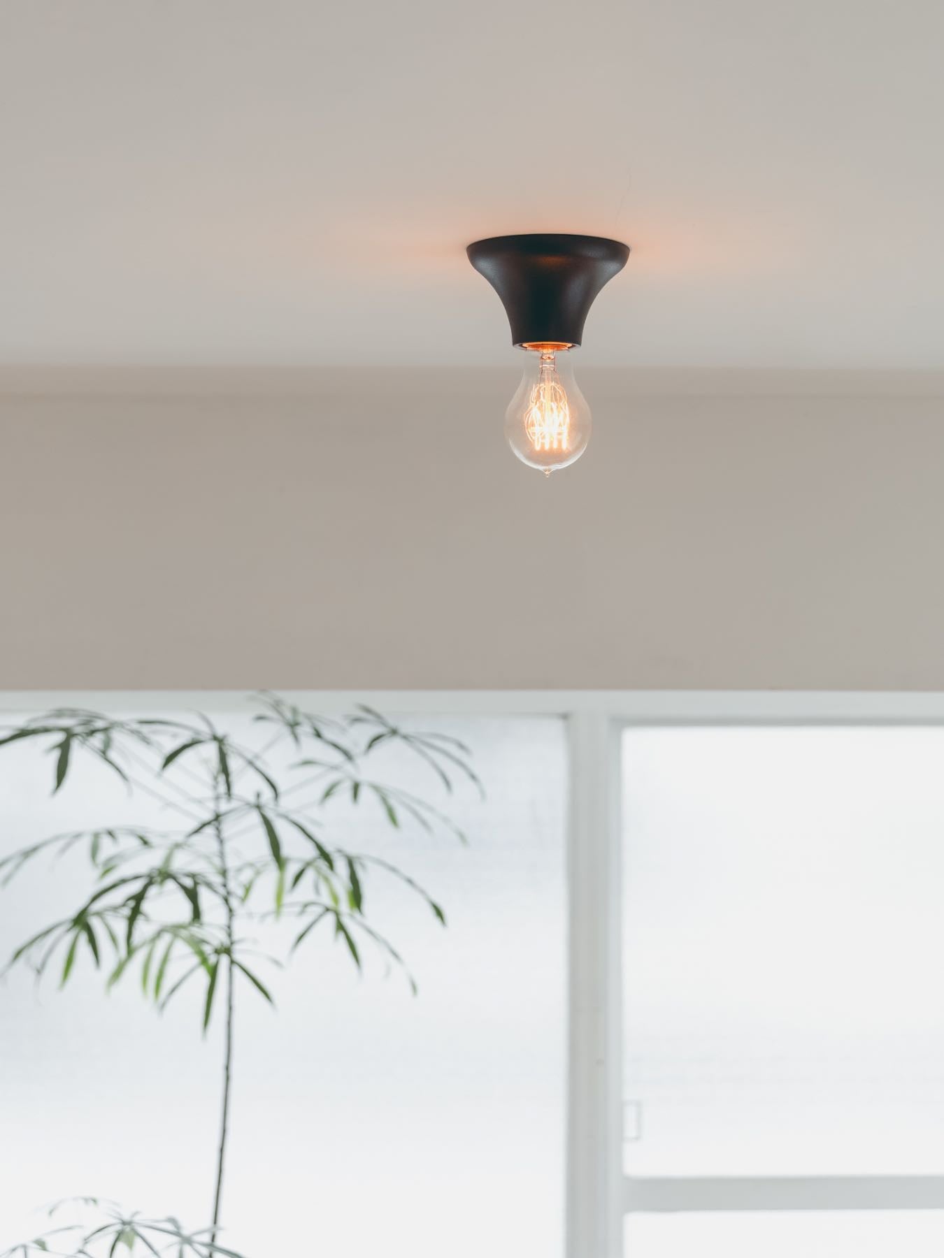 Flare ceiling light シーリングライト