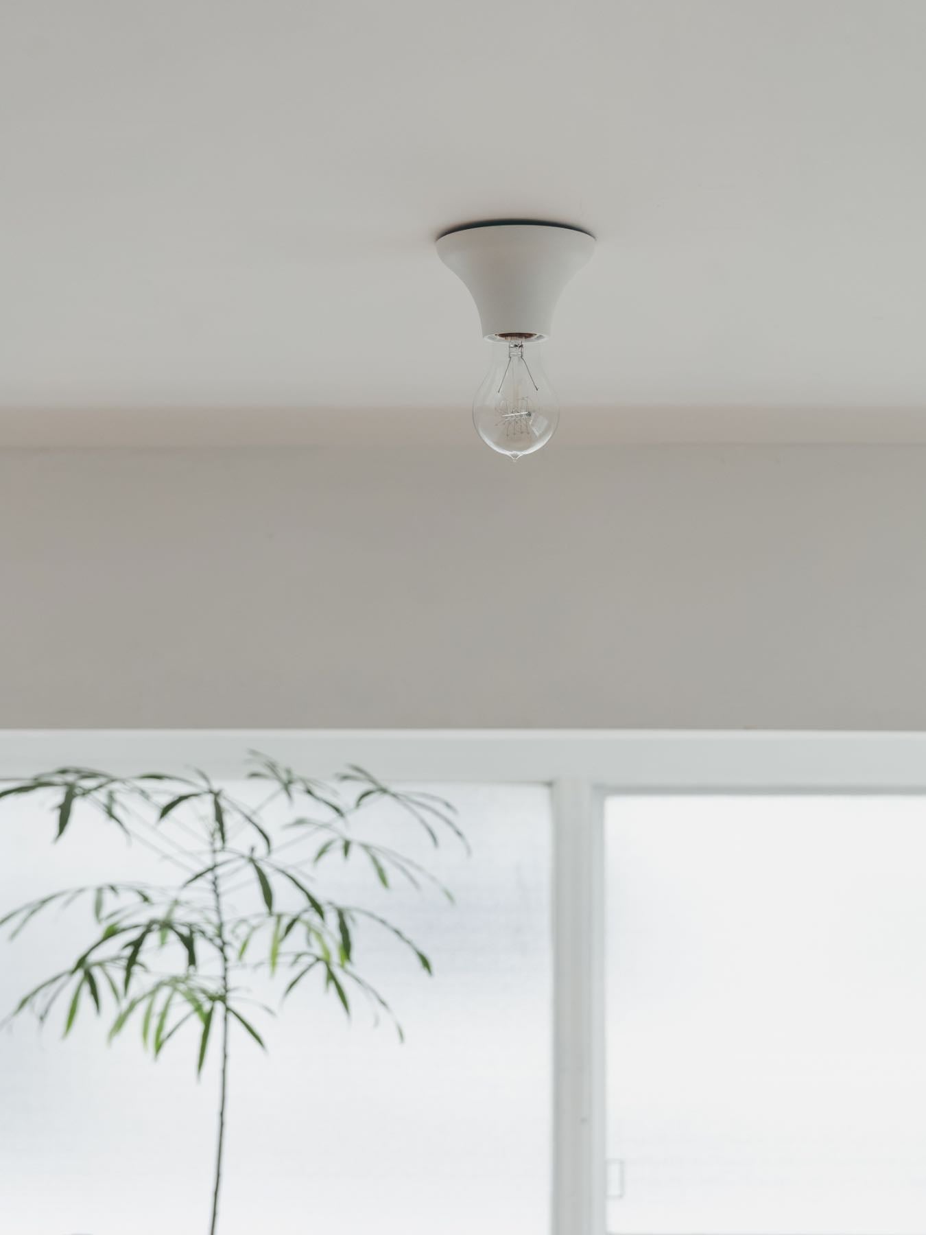 Flare ceiling light シーリングライト
