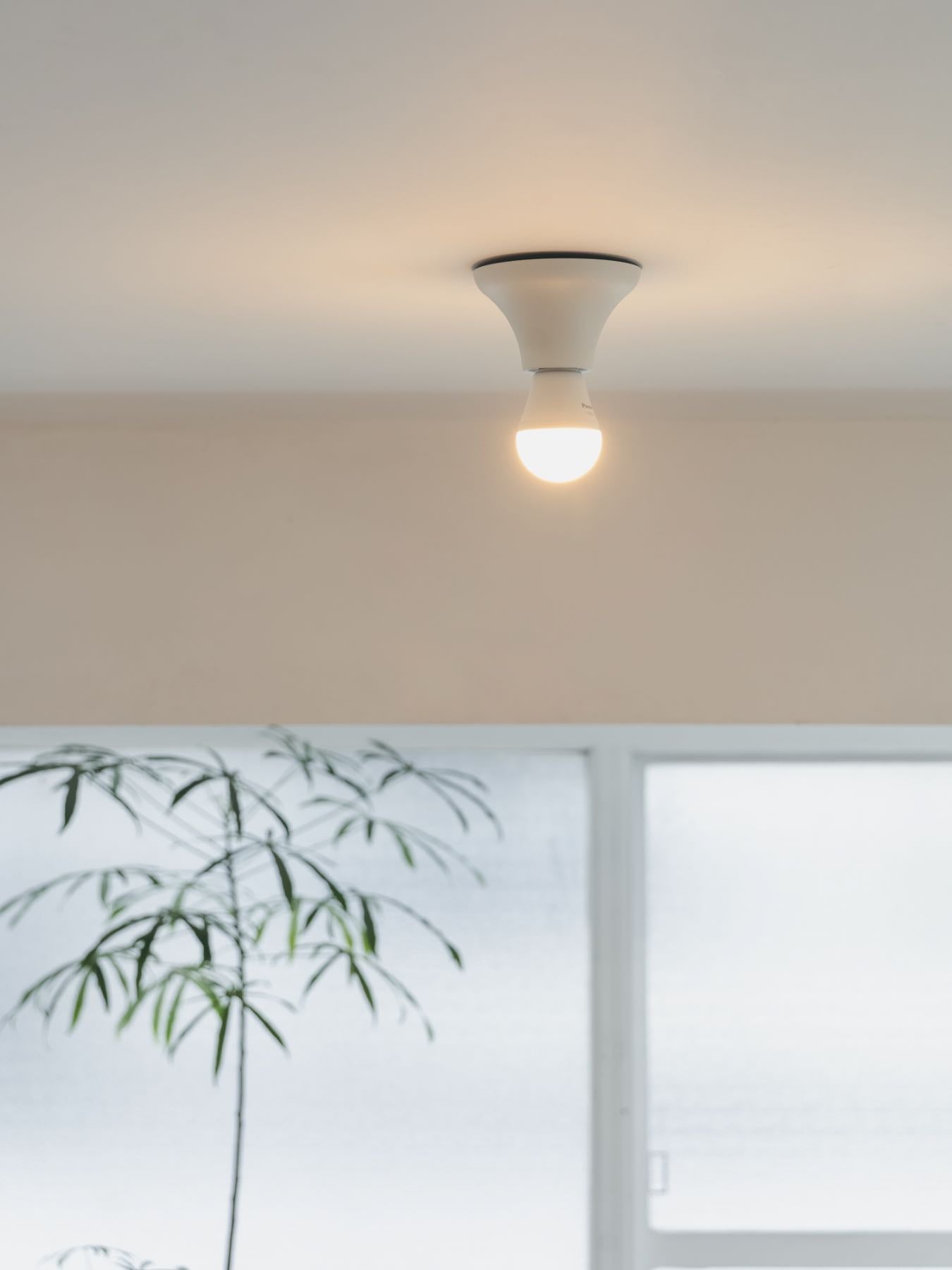 Flare ceiling light シーリングライト