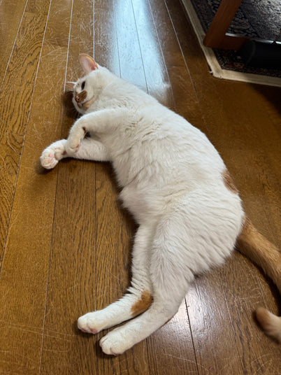 みたらし