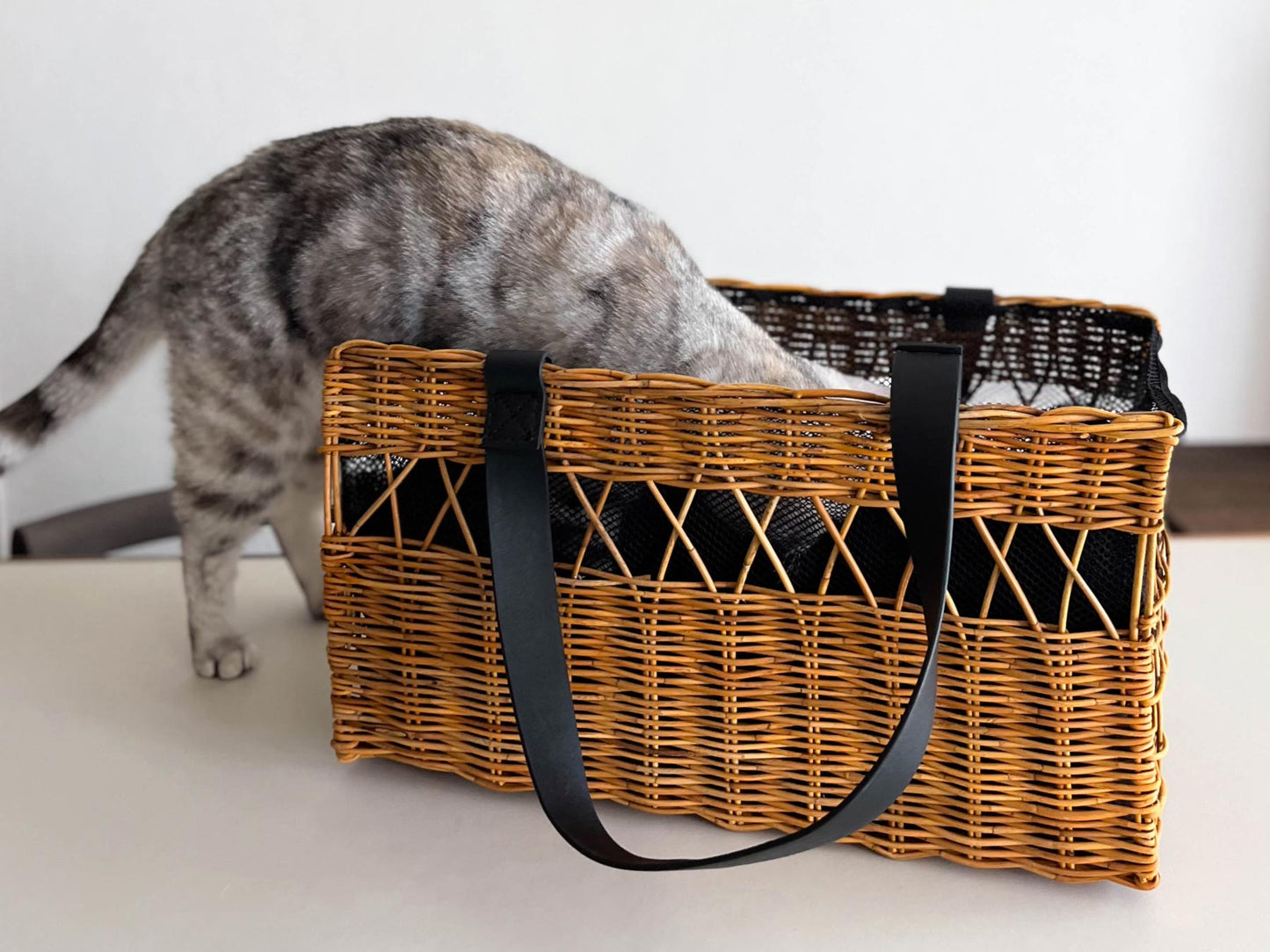 モデル猫：3.2kg