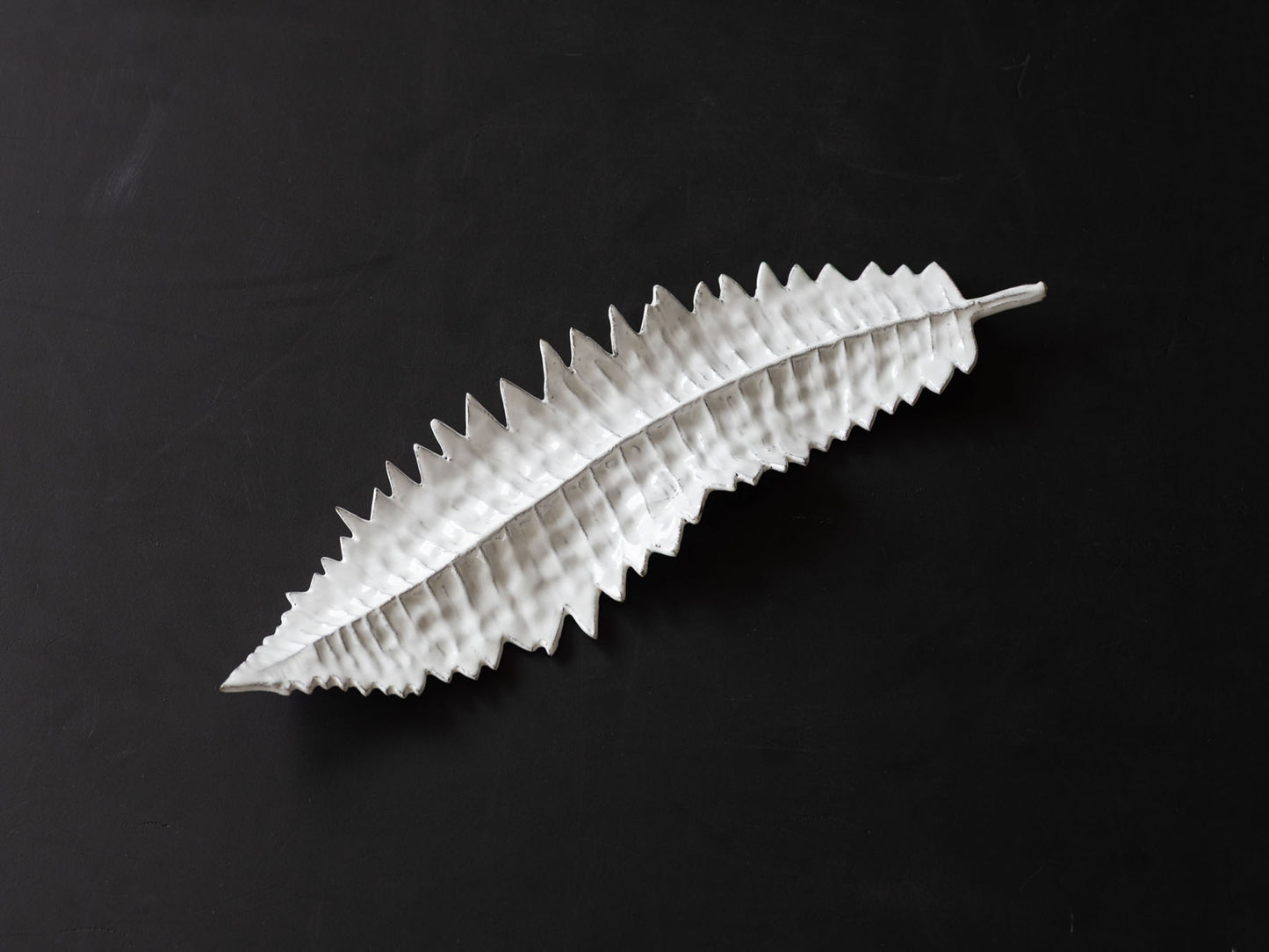 Astier de Villatte リーフ La Fougere