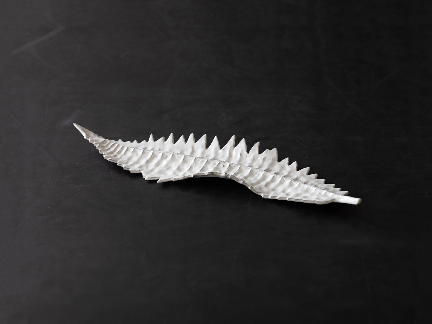 Astier de Villatte リーフ La Fougere
