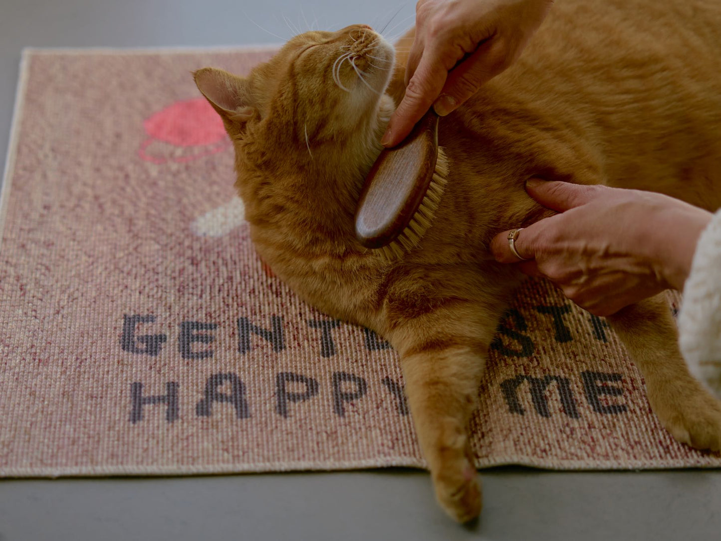 オルネコ・ケアマット／毛糸で遊ぶ猫（50×70cm）