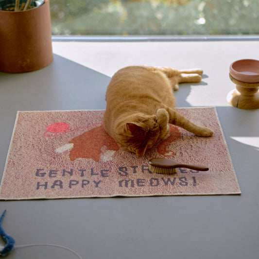 モデル猫：7.3kg