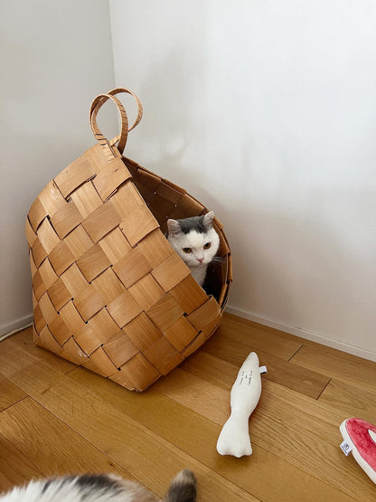 モデル猫：5.5kg