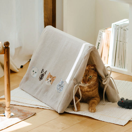 Coral & Tusk × Orneko ネコテント