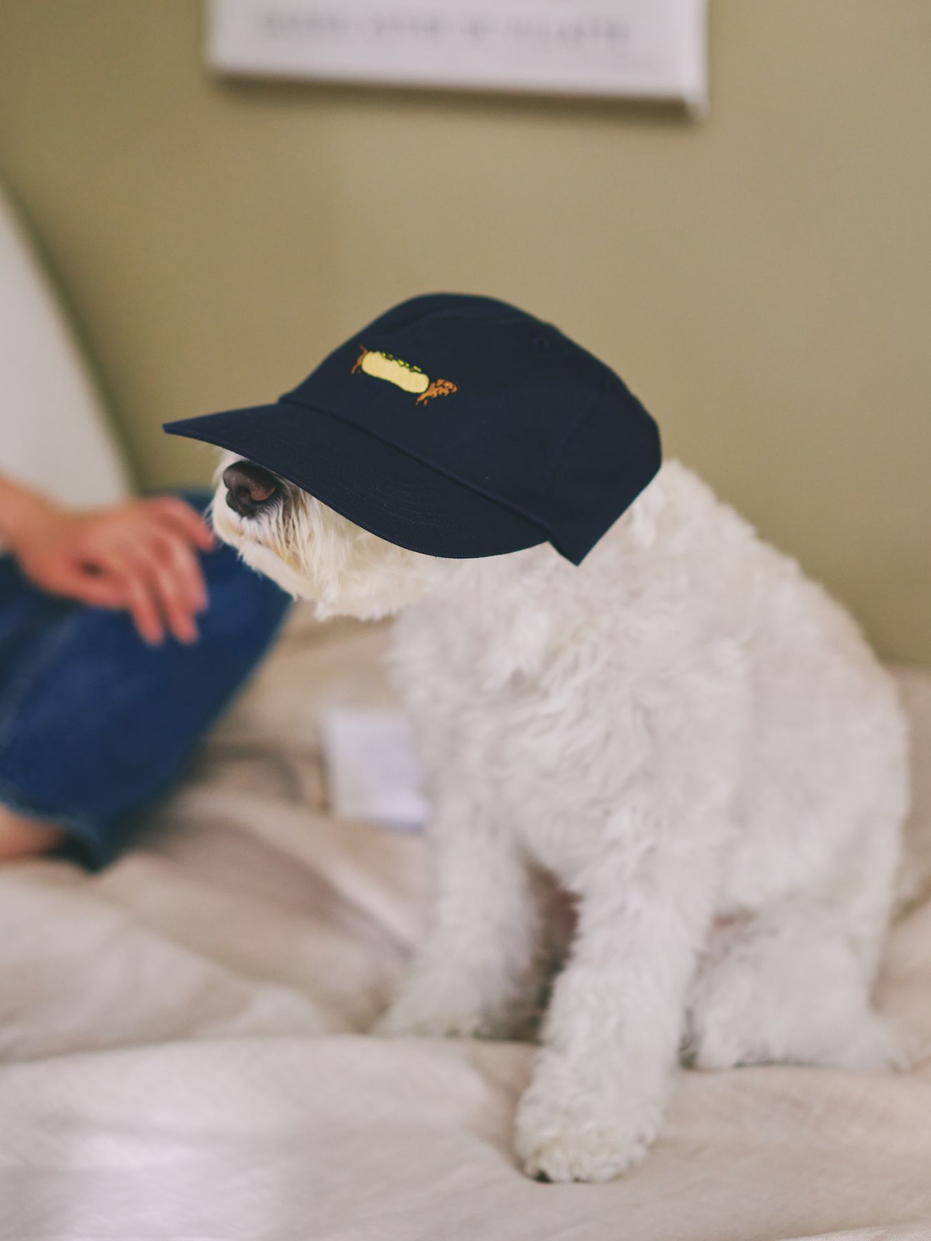 TEMBEA キャップ DOG CAP