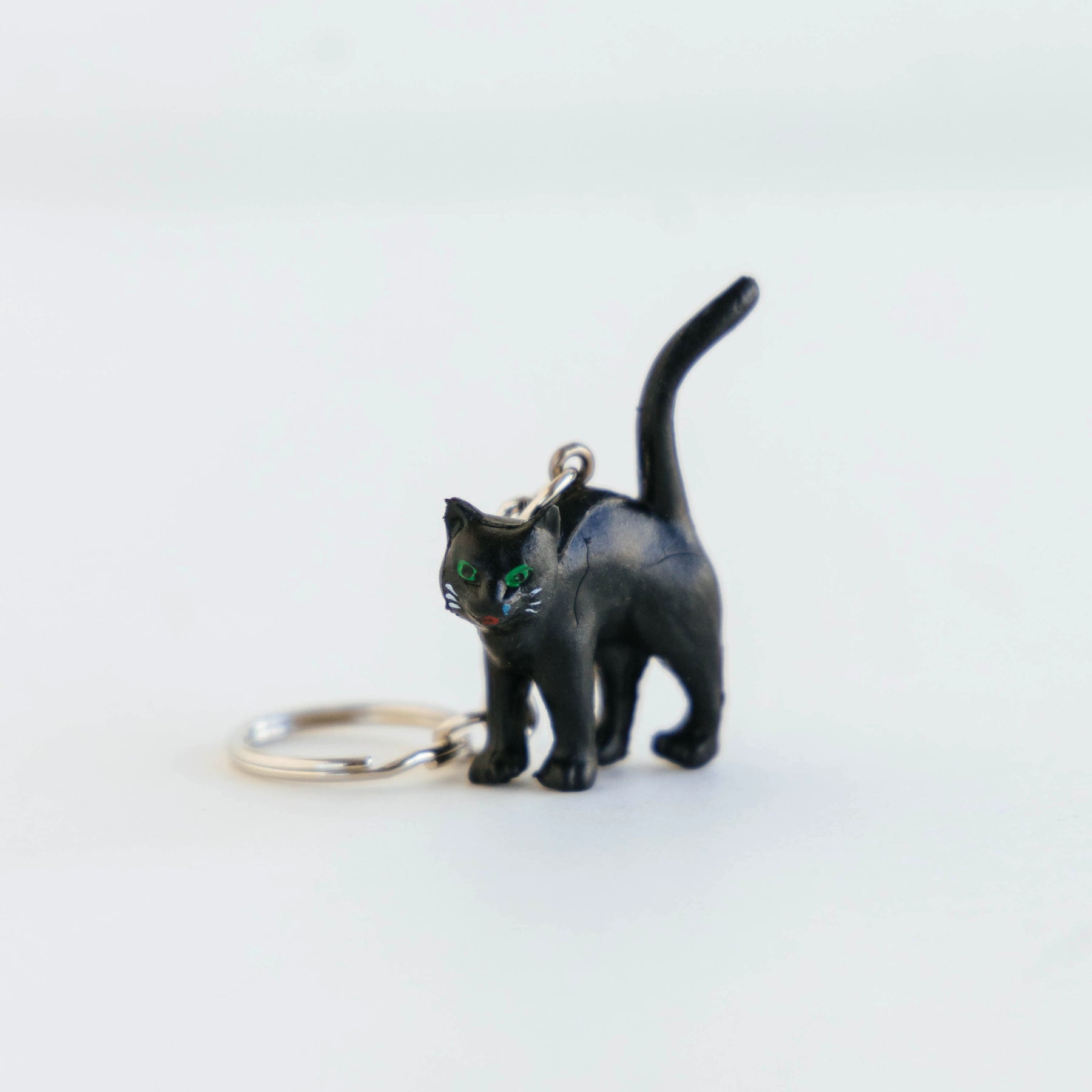 BLACK CAT