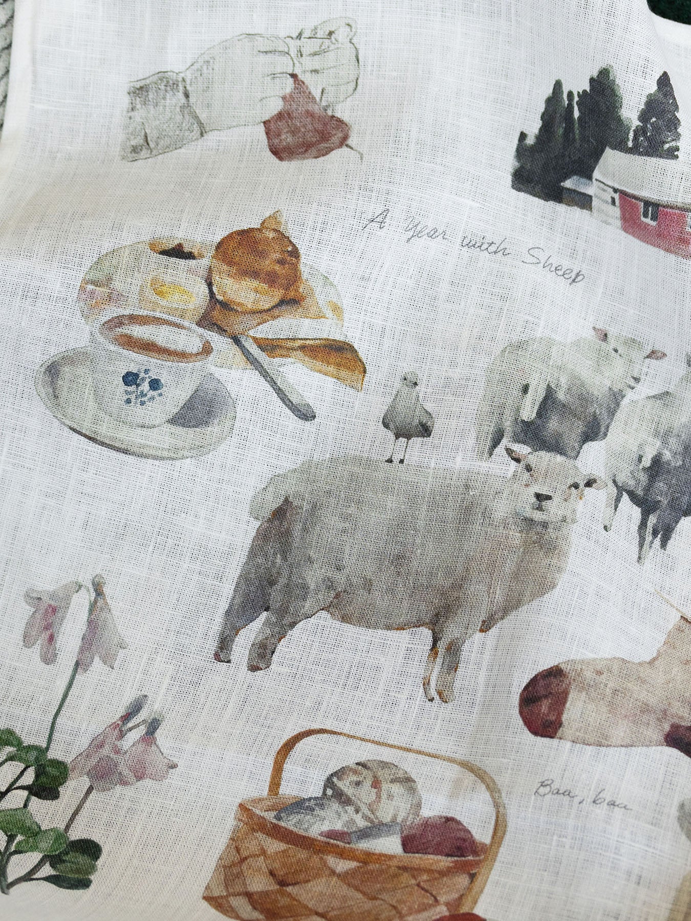 A year with SHEEP