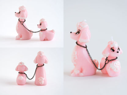 PINK POODLE詳細