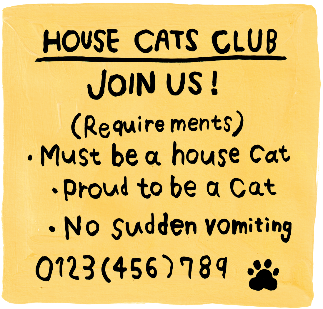 HOUSE CATS CLUB JOIN US! (Requirements) Must be a house cat / Proud to be a cat / No sudden vomiting 0123(456)7789