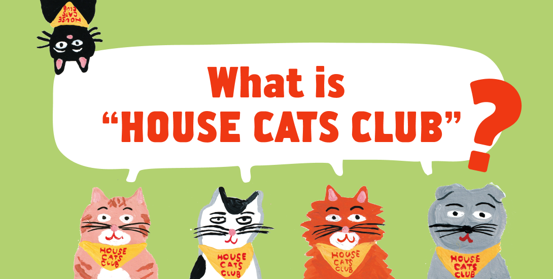 What is "HOUSE CATS CLUB"?