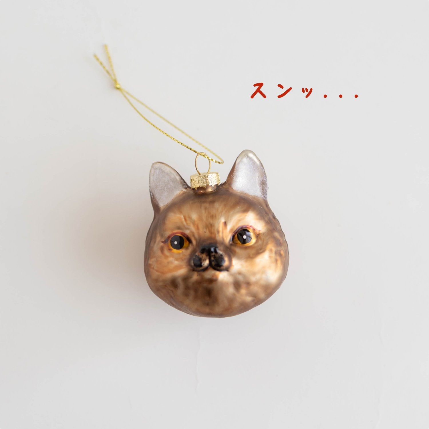 ネコ／B