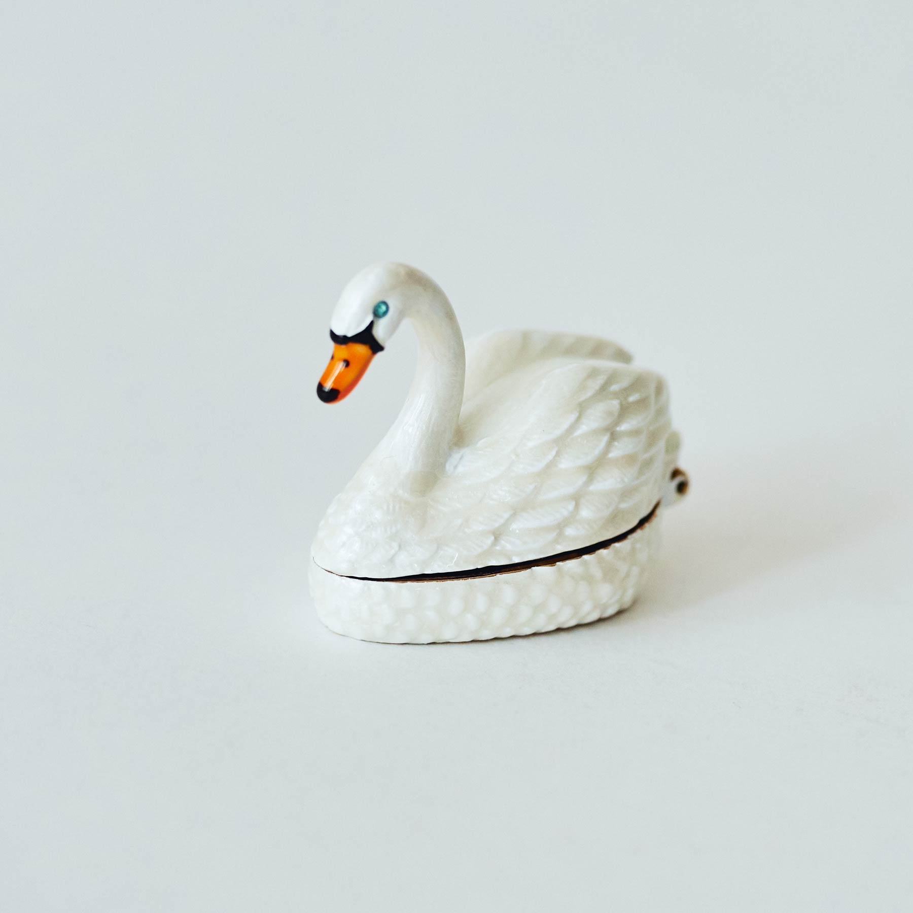 Swan