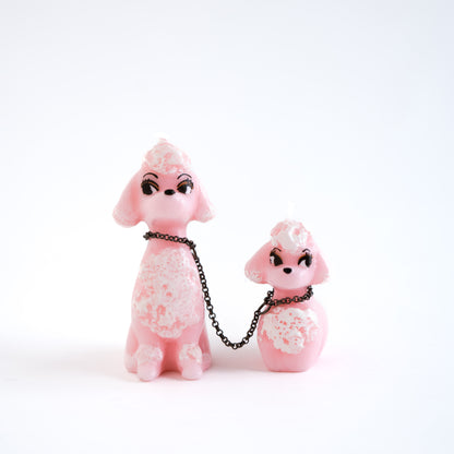 PINK POODLE