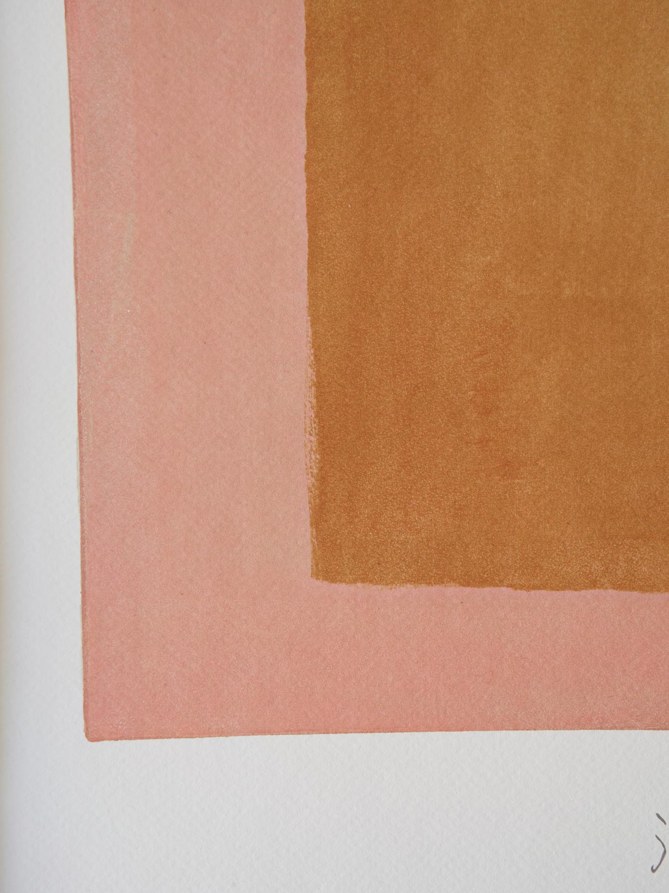 jitsu オリジナルポスター／color composition／pink（50cm×70cm）