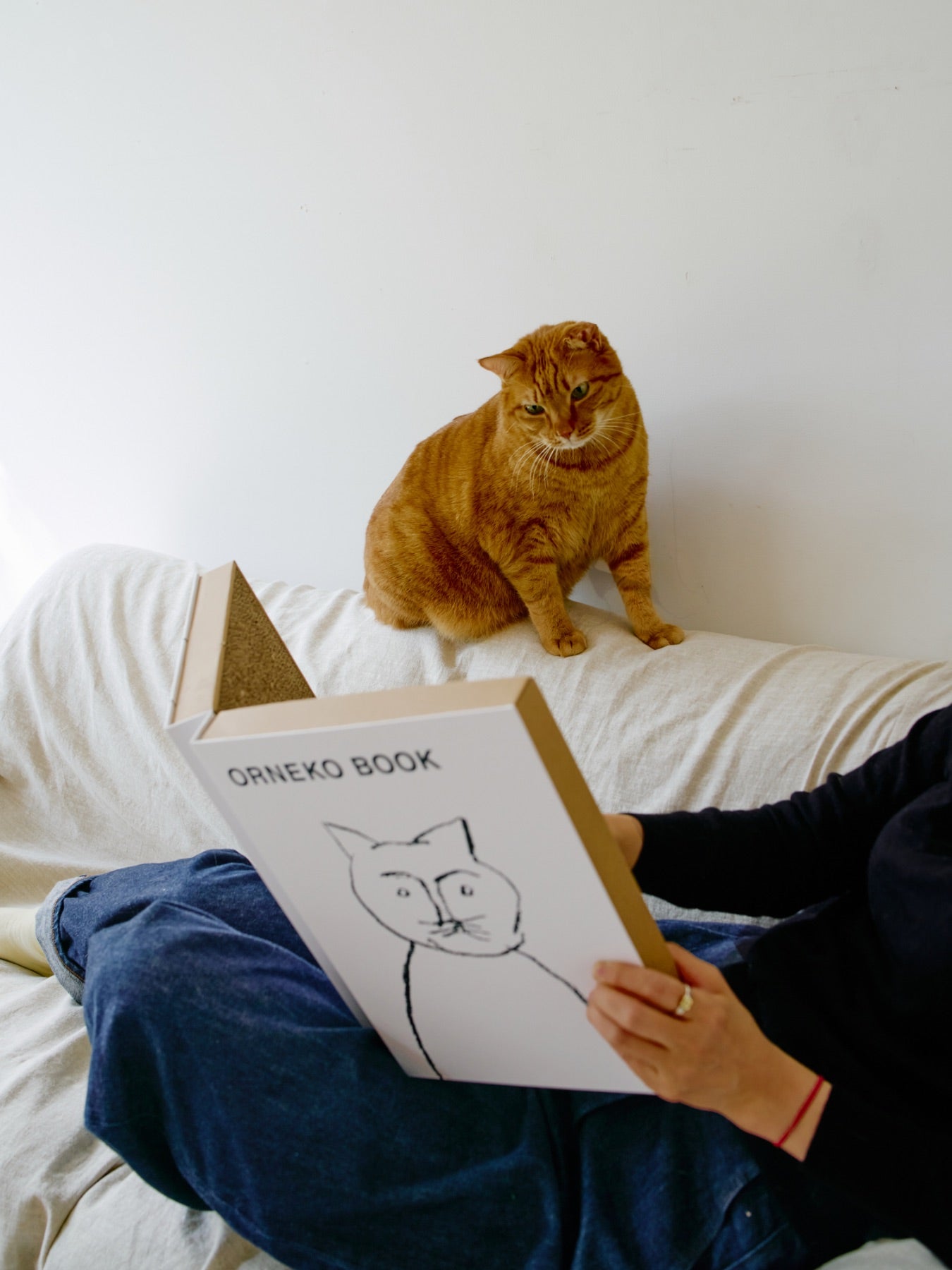 オルネコ・ブック型爪とぎ／ORNEKO BOOK