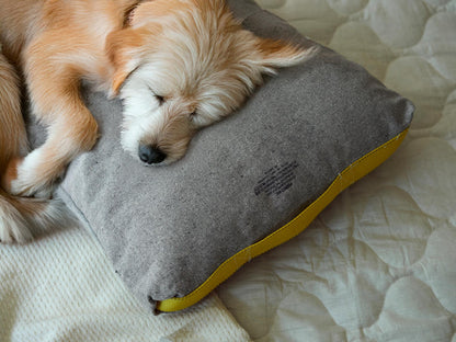CUSHION FOR HUMAN AND PET（クッション）
