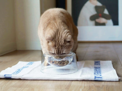BOROSILICATE GLASS PET BOWL（フードボウル）