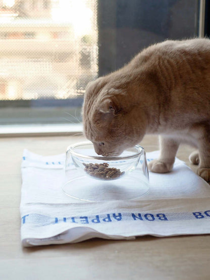 BOROSILICATE GLASS PET BOWL（フードボウル）