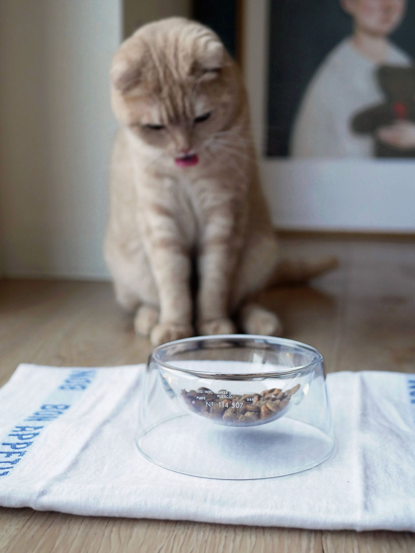 BOROSILICATE GLASS PET BOWL（フードボウル）