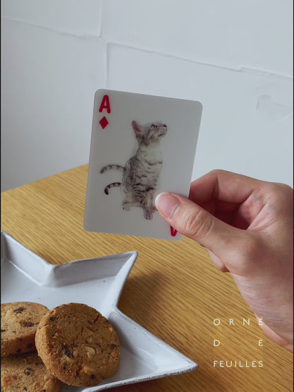 3Dトランプカード