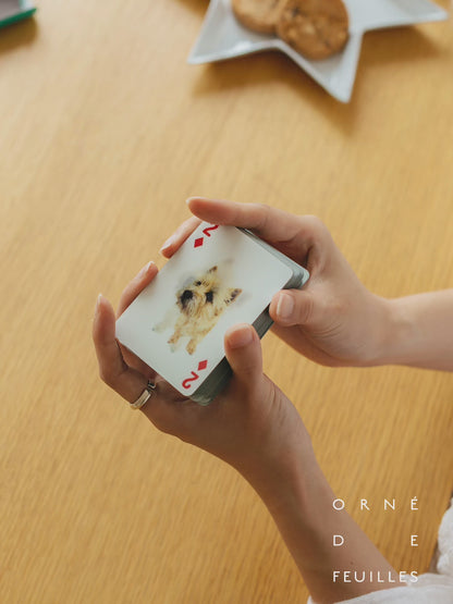 3Dトランプカード