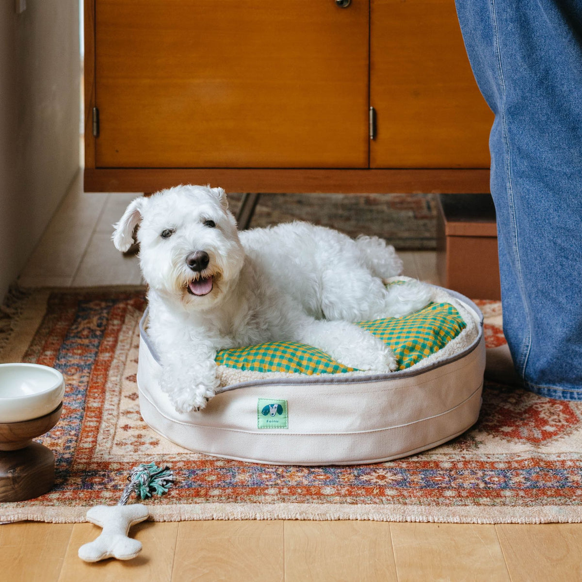 モデル犬：7.6kg