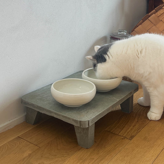 モデル猫：7kg