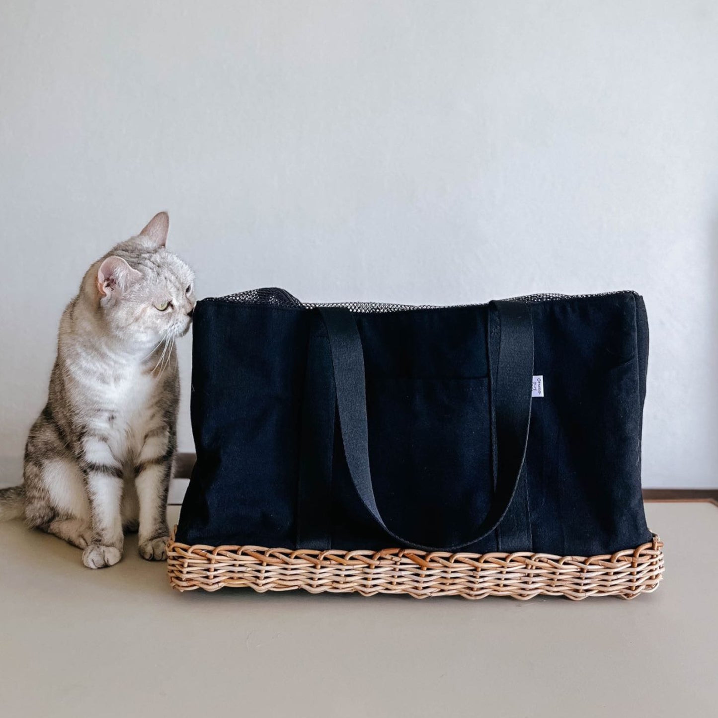 モデル猫：3.5kg